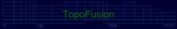 TopoFusion